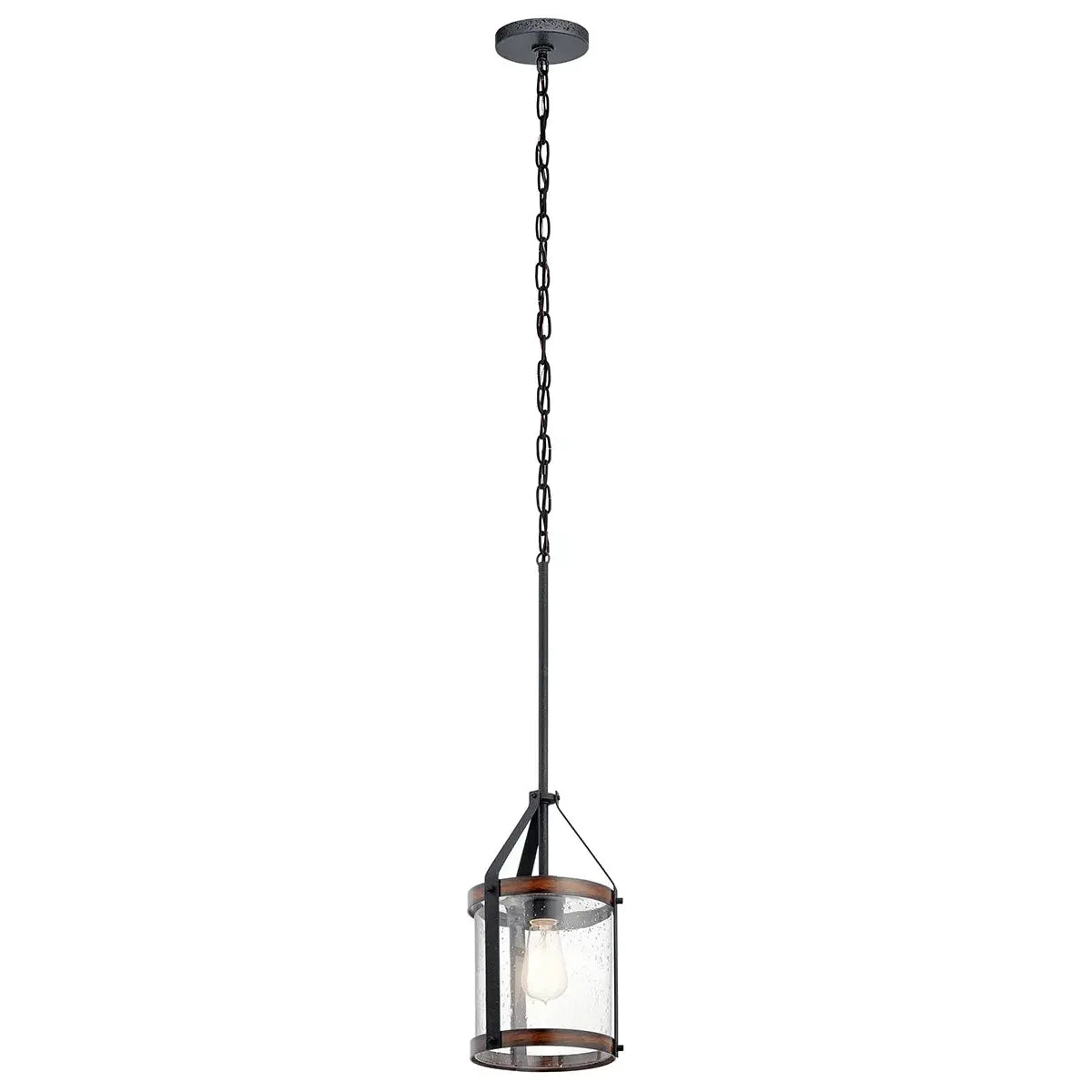 Track lighting for outdoor gardensBarrington 1-Light Pendant