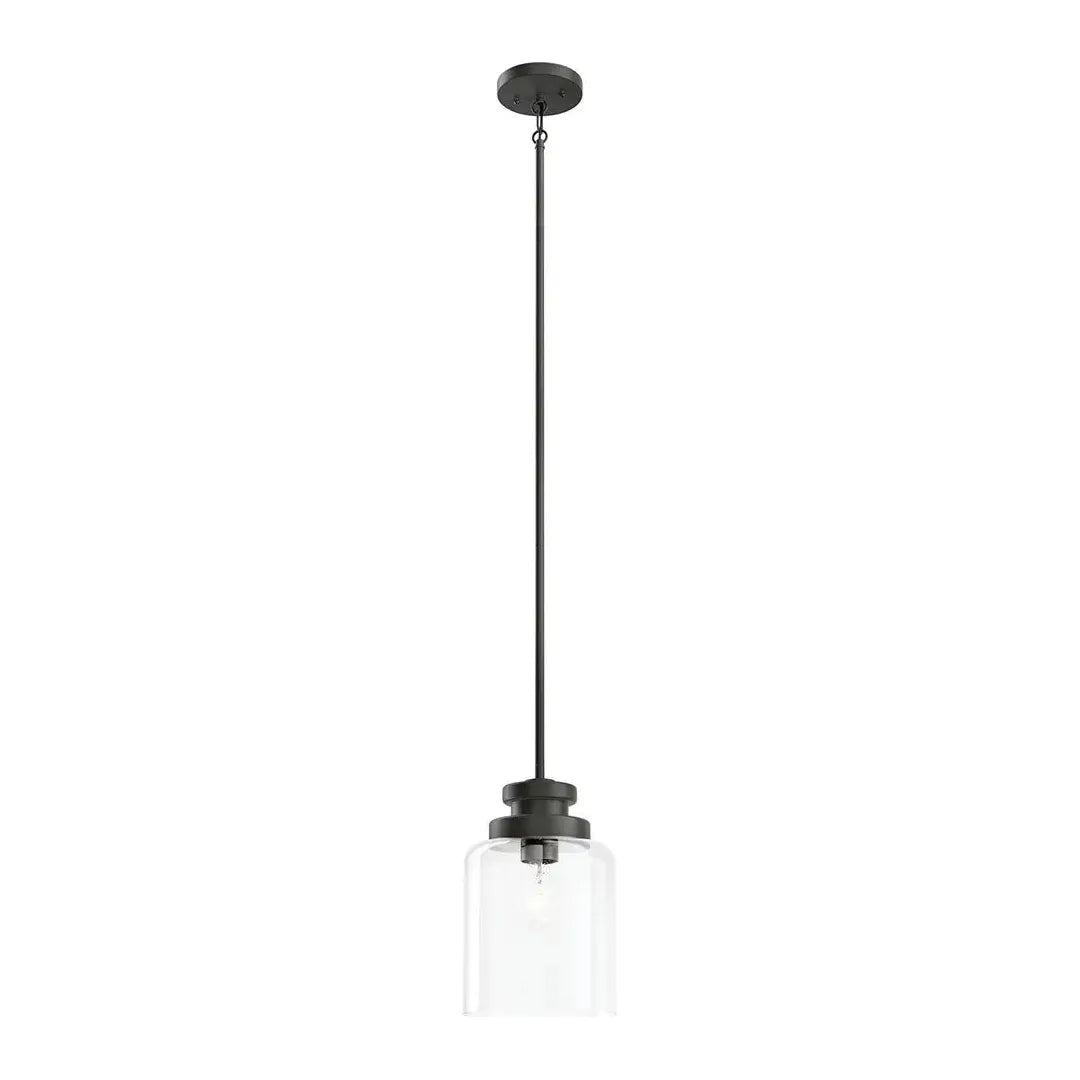 Modern track lighting with LED bulbsAnnabeth 1-Light Mini Pendant