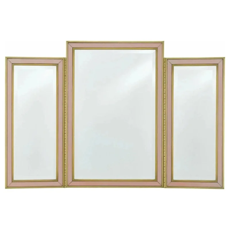 Waterproof track lighting for bathroomsArden Pink Vanity Mirror