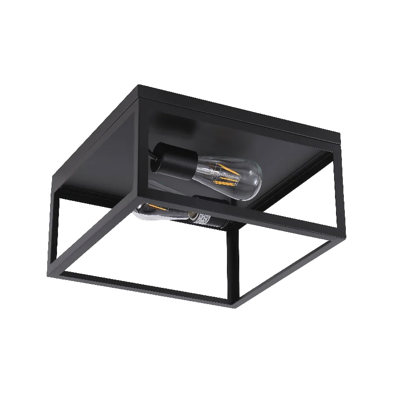 Energy - efficient track lighting fixturesBrantwood 2-Light Flush Mount