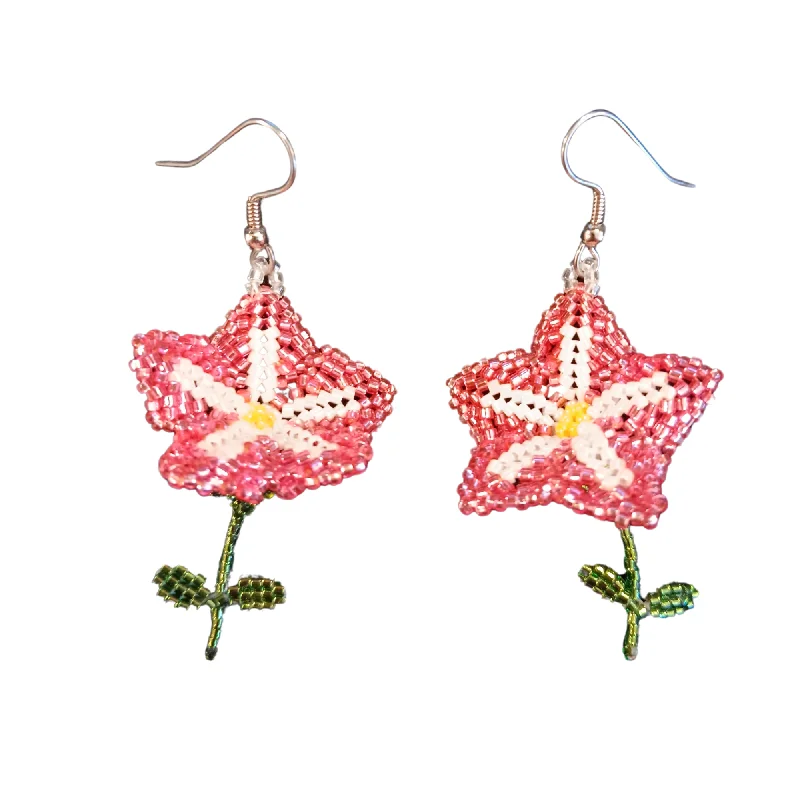 Track lighting for small apartments3D Petunia Earrings on Hypo-Allergenic Ear-wires 2 Colors Track lighting for small apartments3D Petunia Earrings on Hypo-Allergenic Ear-wires 2 Colors