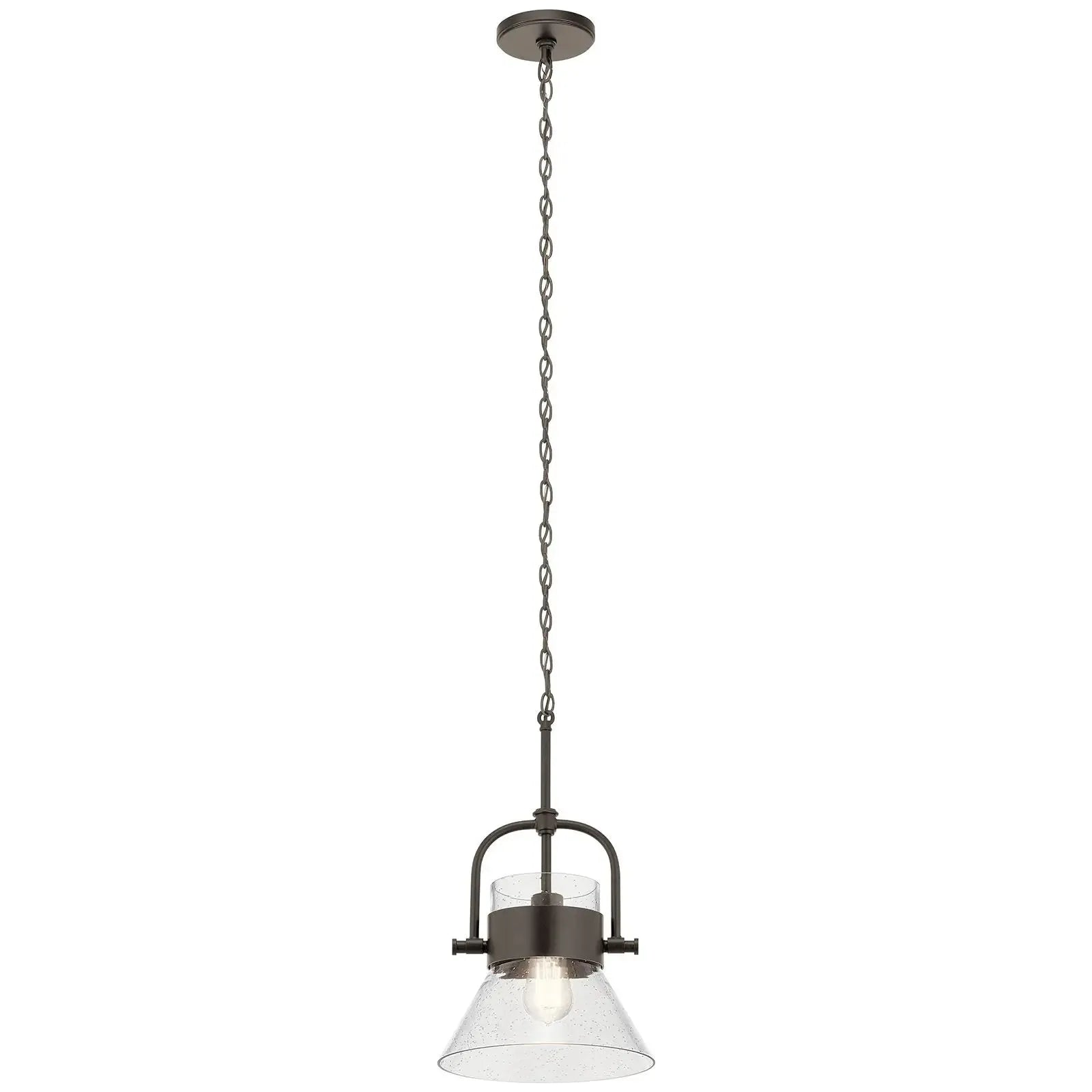 Energy - efficient track lighting fixturesAldean 1-Light Pendant